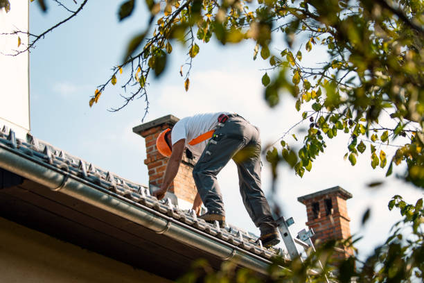 Best Roof Coating and Sealing  in Cedar Ridge, CA