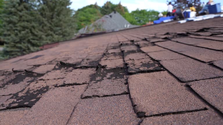 Cedar Ridge, CA Roofing Services Company