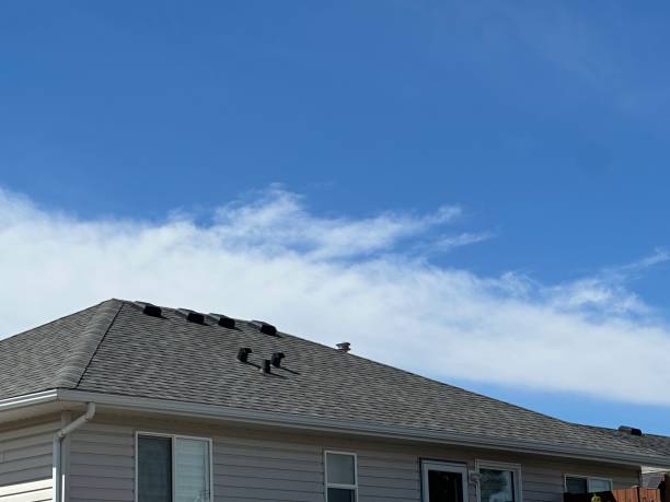 Best Cold Roofs  in Cedar Ridge, CA
